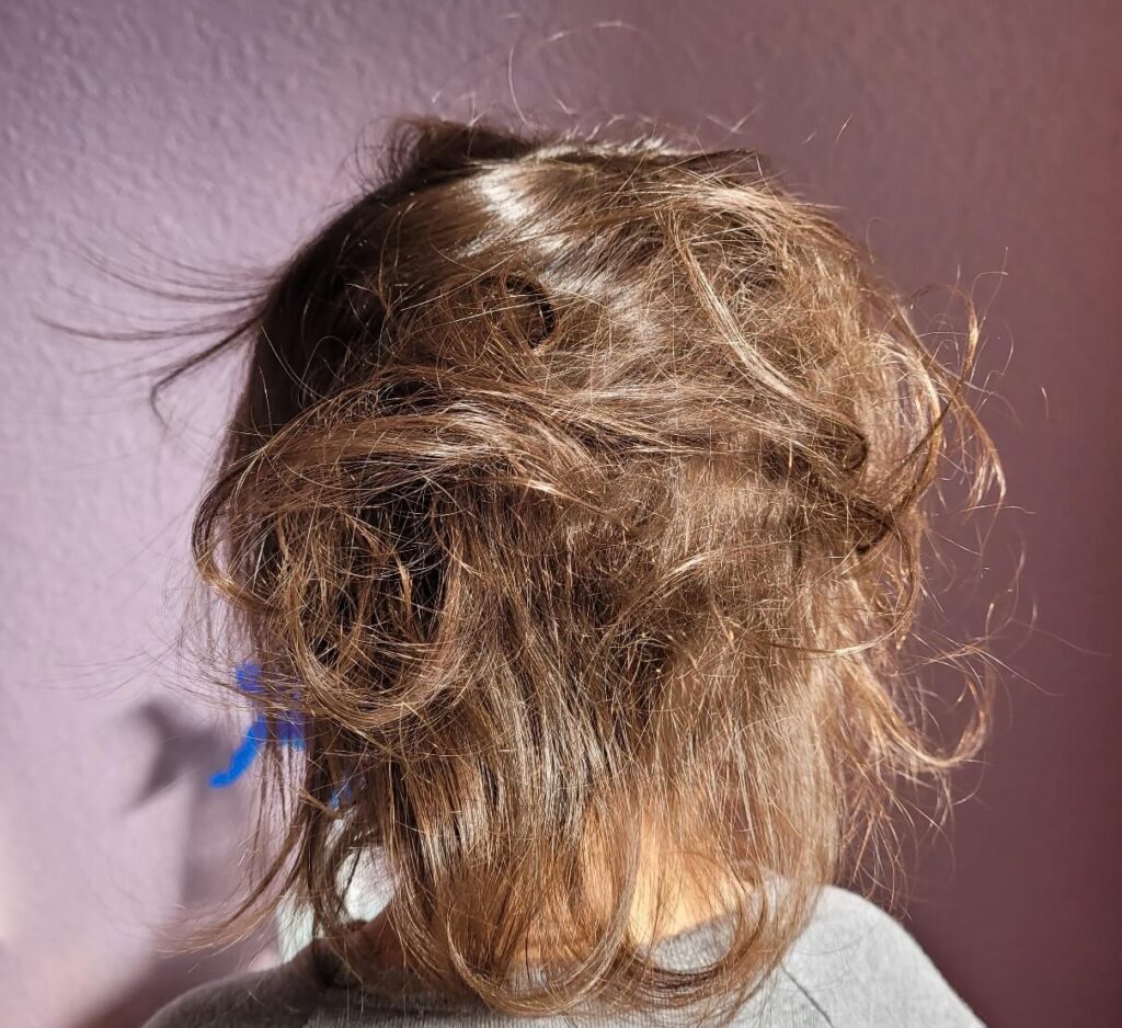 dry frizzy toddler hair